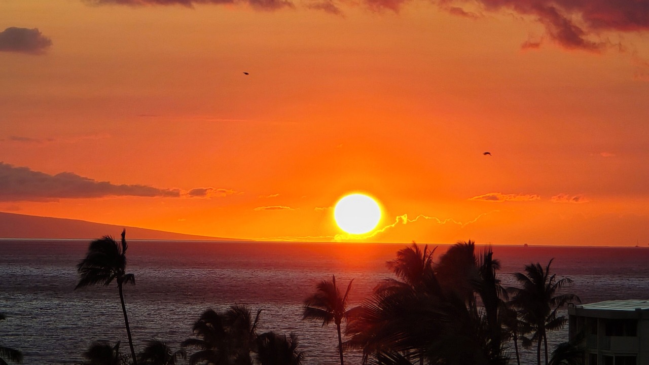Photo of Others in Kihei