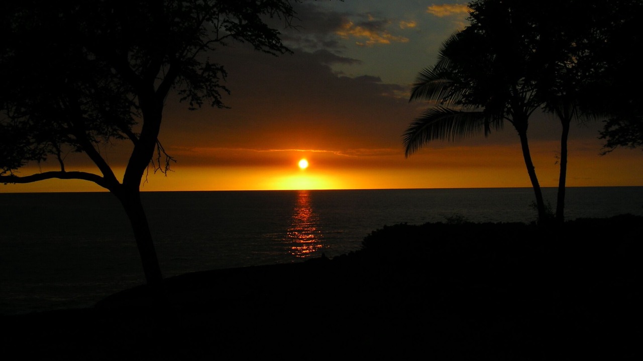Photo of Others in Kahaluu Bay