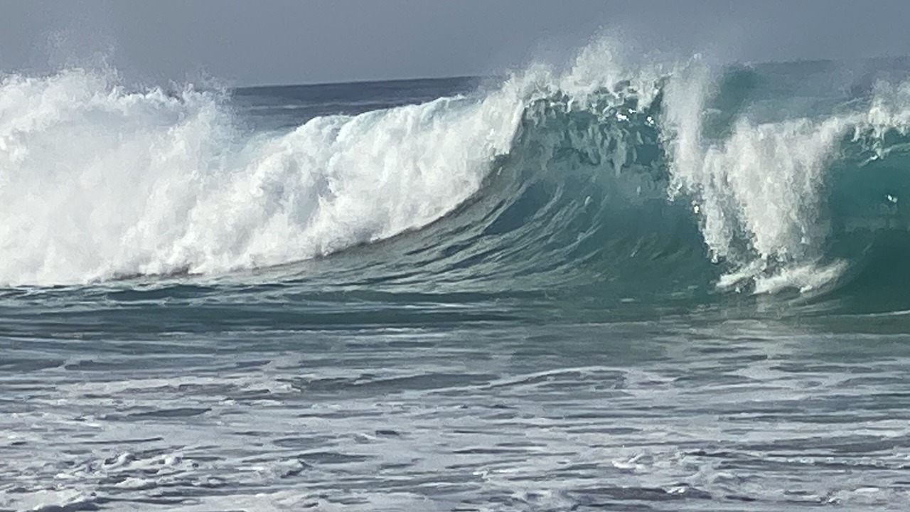 Photo of Others in Kahaluu Bay