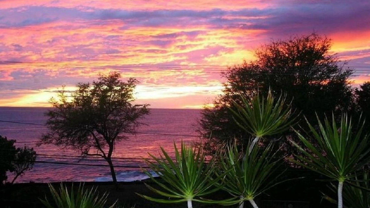 Photo of Others in Kahaluu Bay