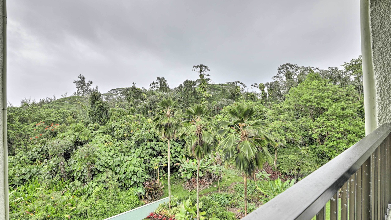 Photo of Others in Hilo