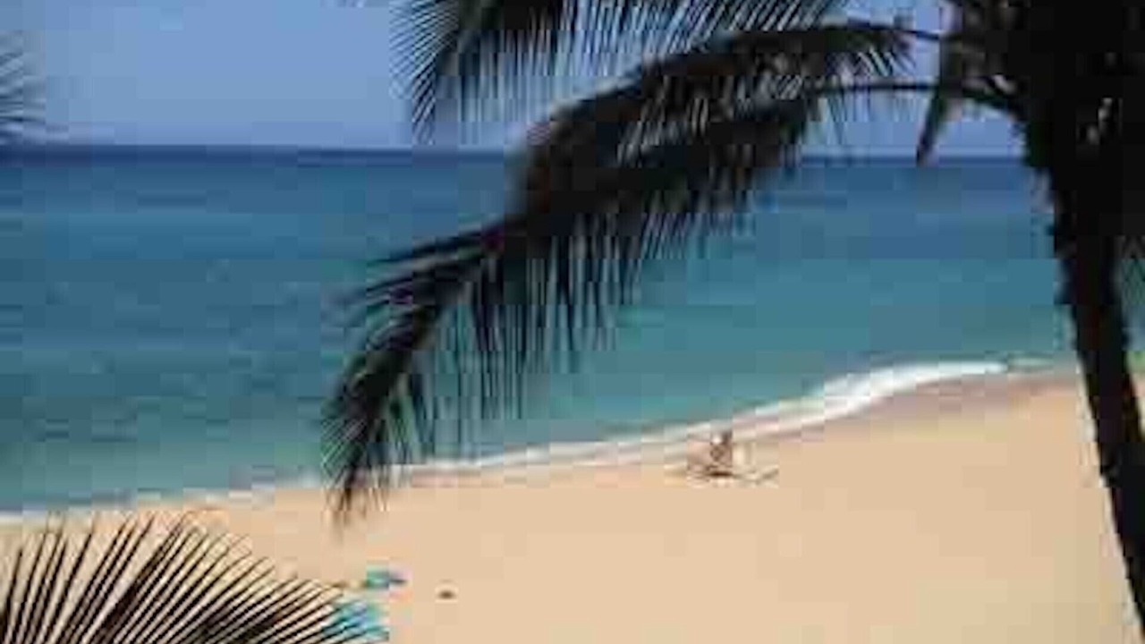 Photo of Others in Makaha