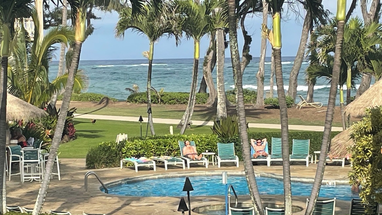 Photo of Outdoor in Wailua