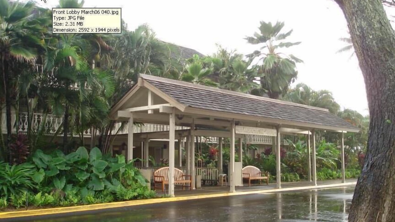 Photo of Outdoor in Wailua