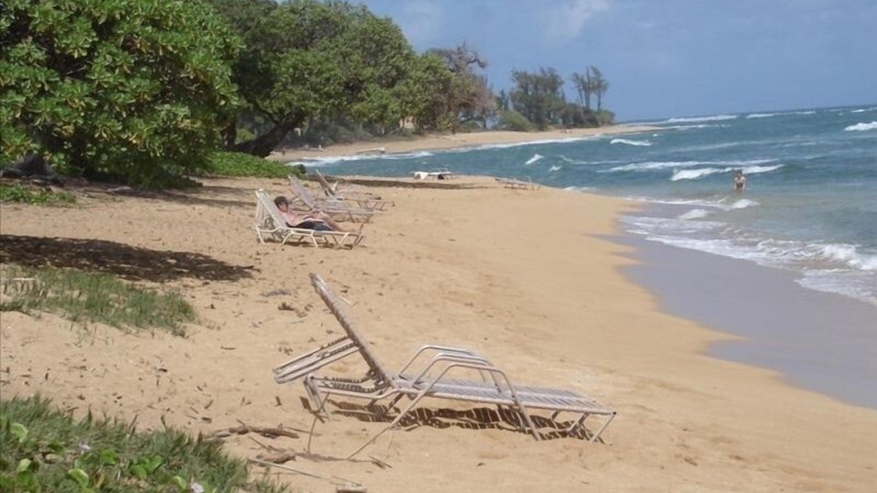 Photo of Others in Wailua