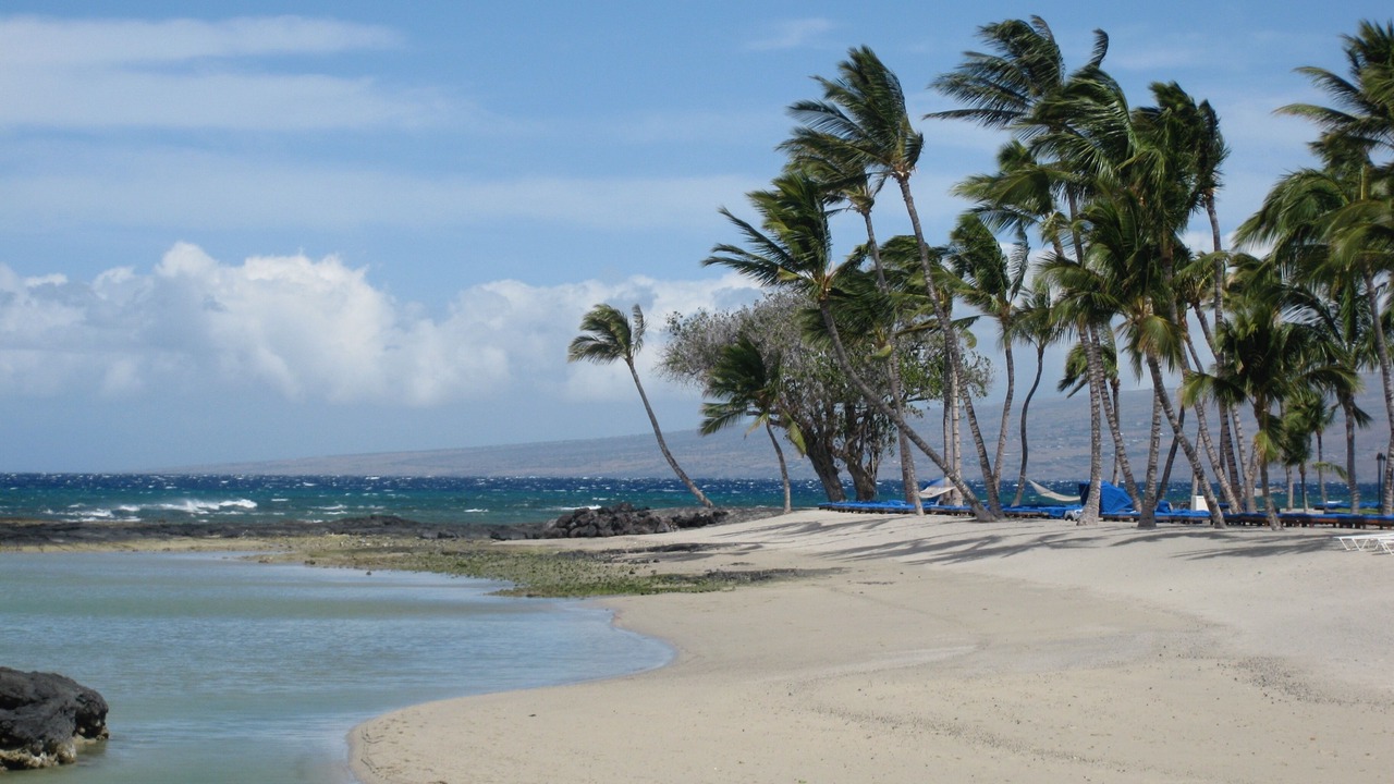 Photo of Others in Waikoloa