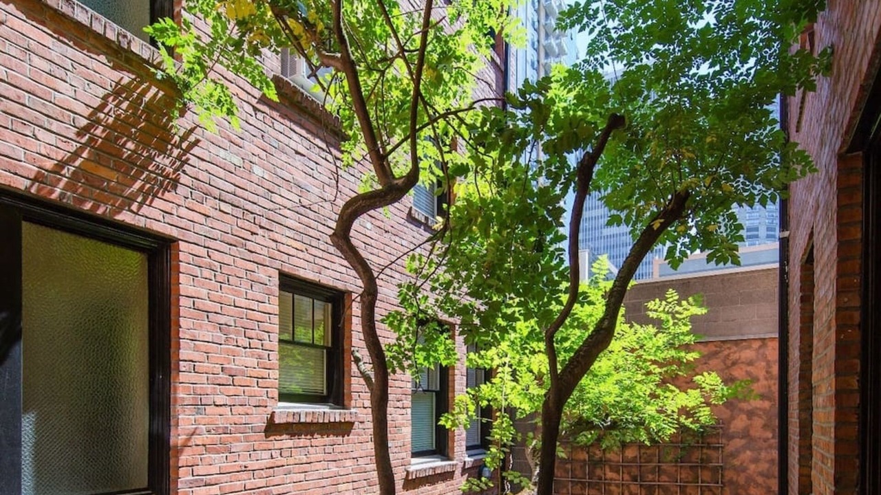Photo of Outdoor in Belltown