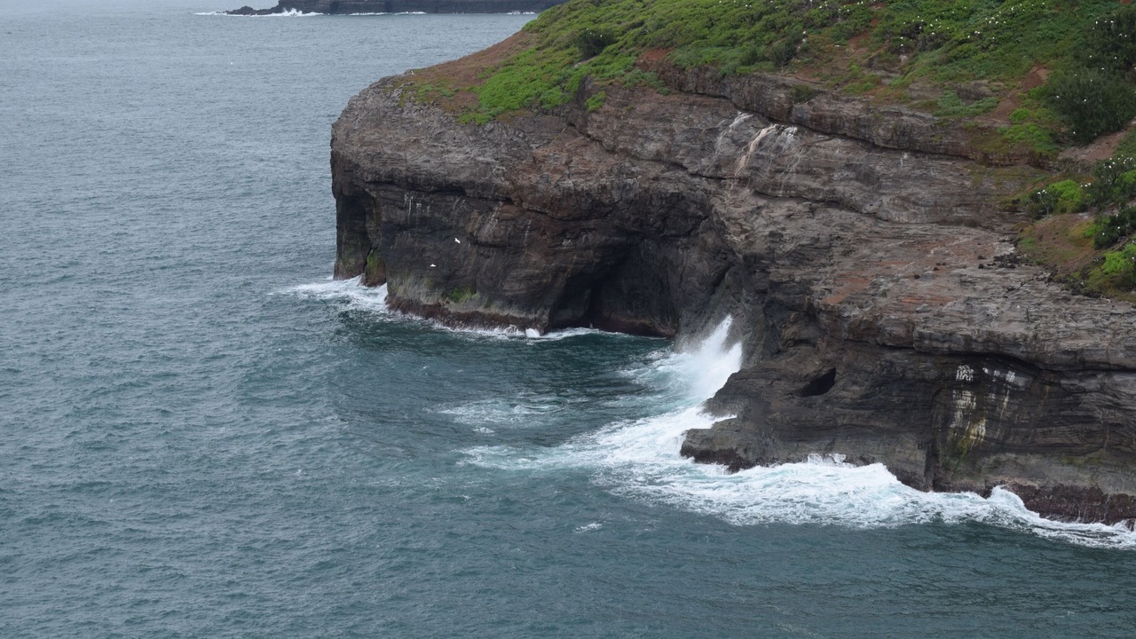 Photo of Others in Poipu