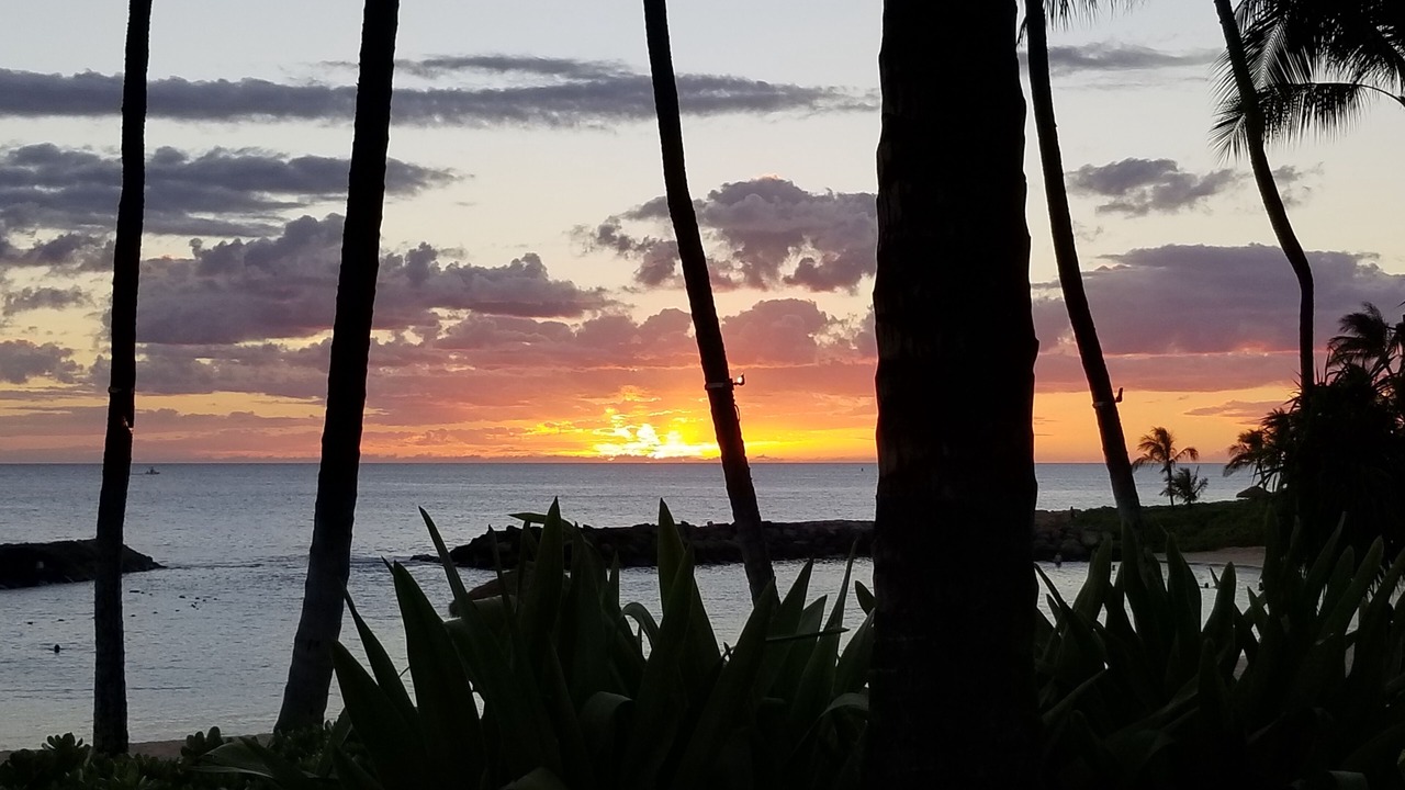 Photo of Others in Ko Olina