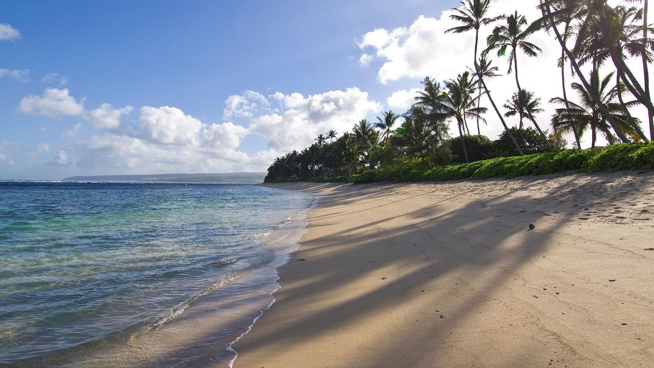 Photo of Others in Mokuleia