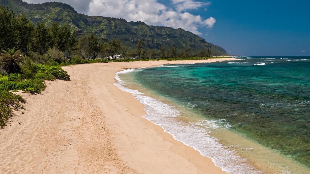 Photo of Others in Mokuleia