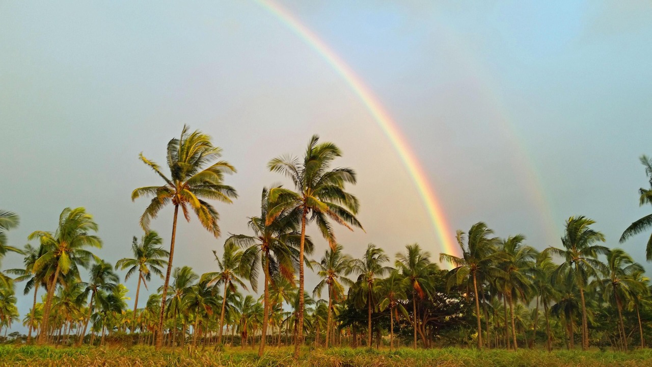 Photo of Others in Mokuleia