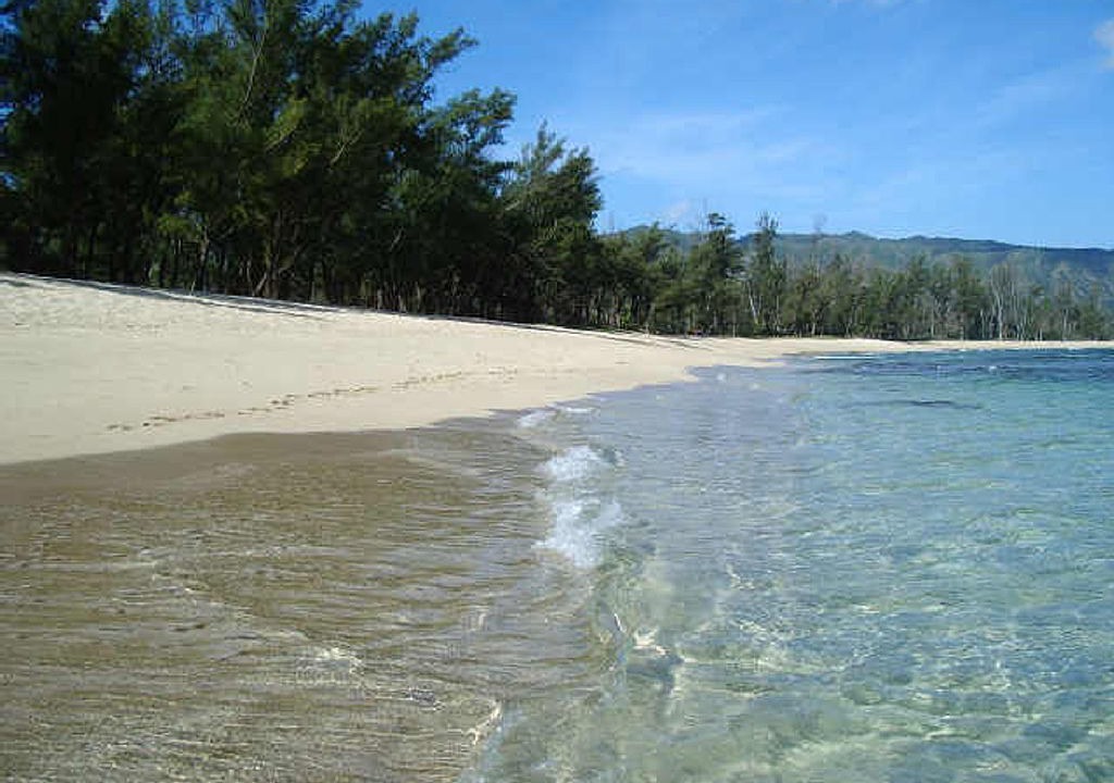Photo of Others in Mokuleia