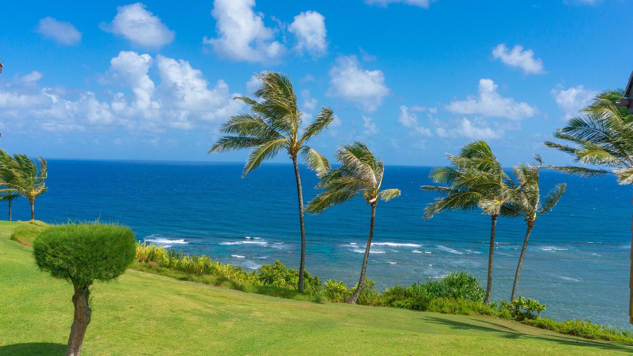 Photo of Others in Princeville
