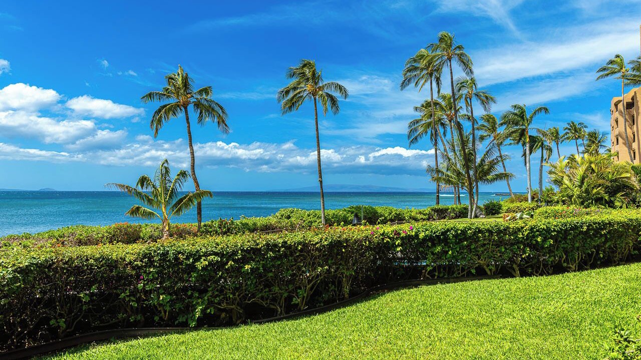 Photo of Others in Maalaea