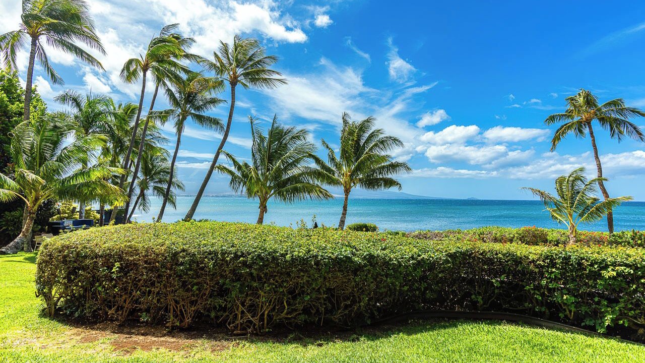Photo of Others in Maalaea