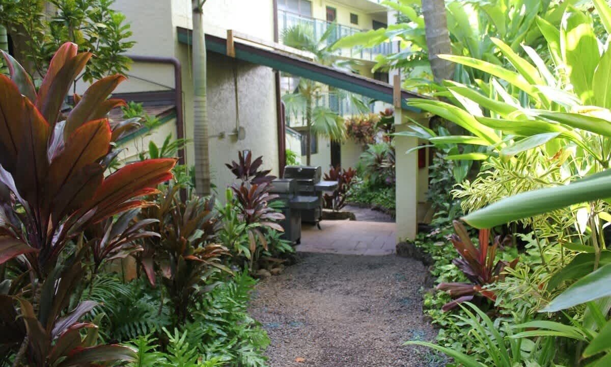 Photo of Others in Poipu
