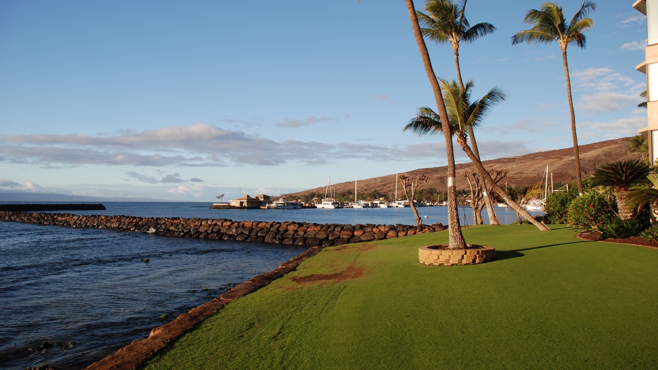 Photo of Others in Maalaea