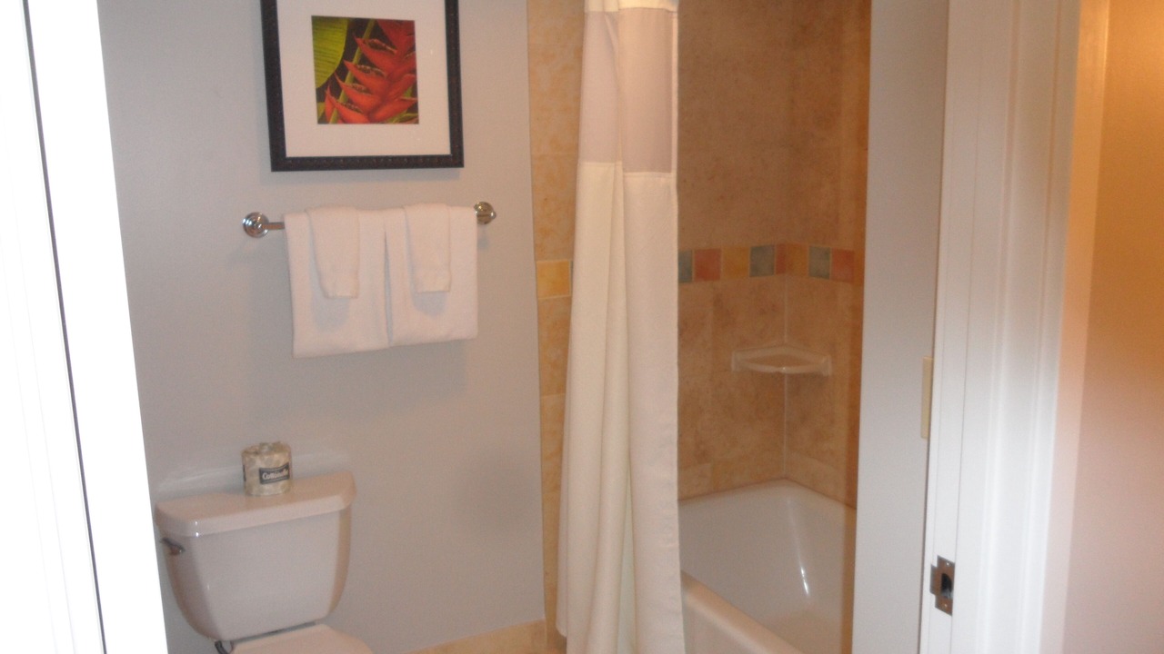 Photo of Bathroom in Lahaina
