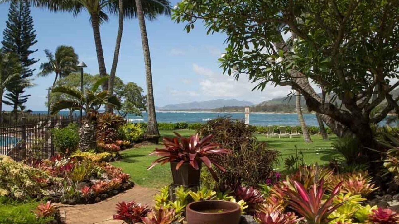 Photo of Others in Wailua