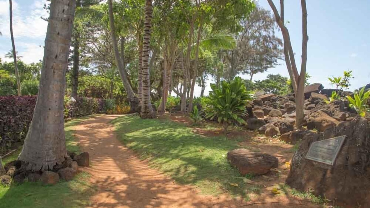 Photo of Others in Wailua