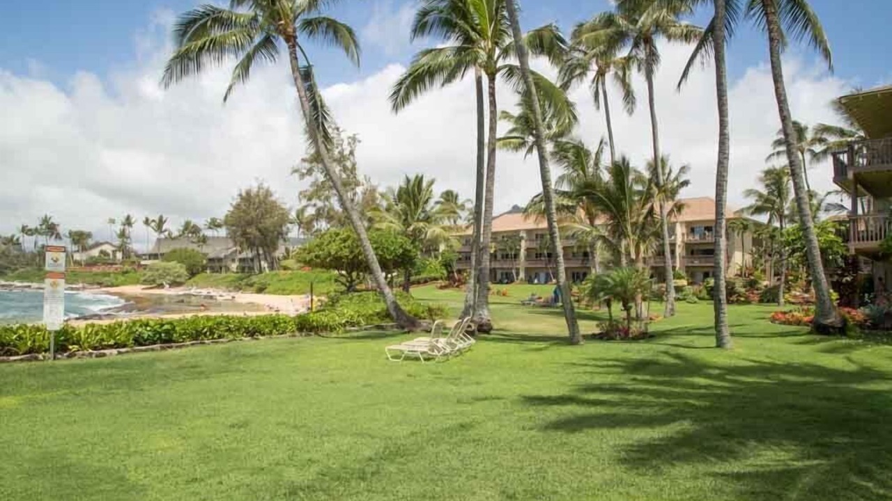 Photo of Others in Wailua