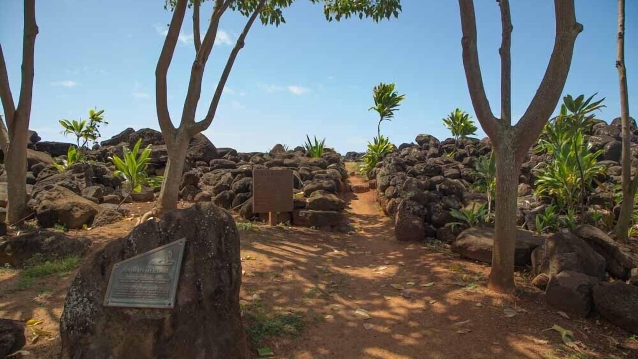 Photo of Others in Wailua
