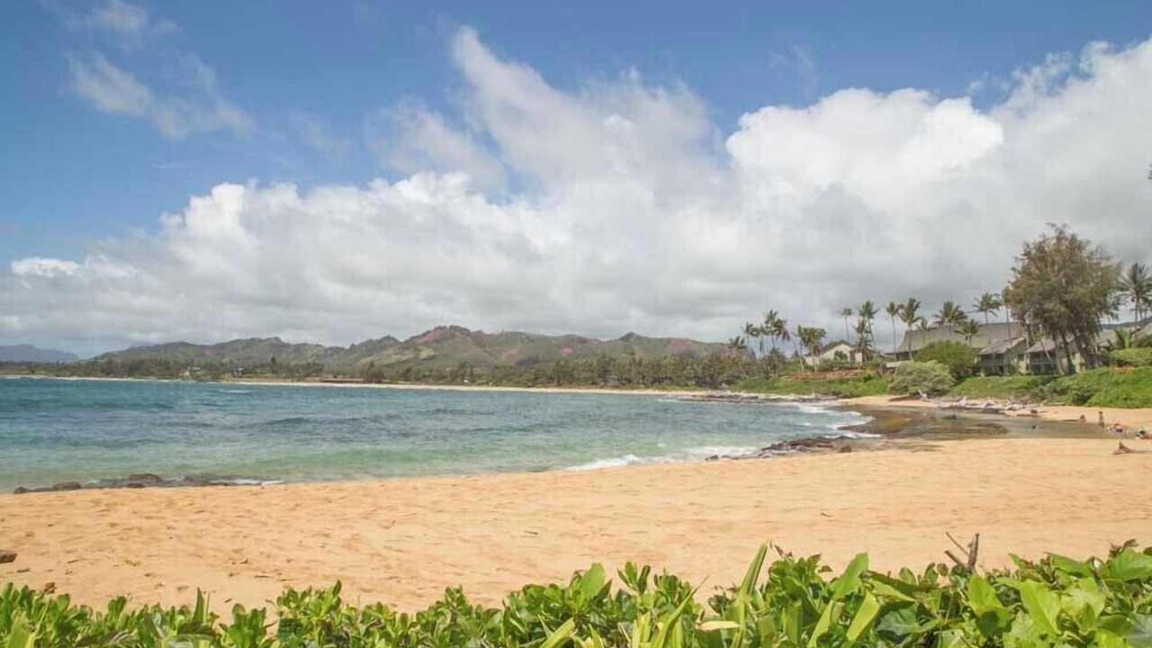 Photo of Others in Wailua