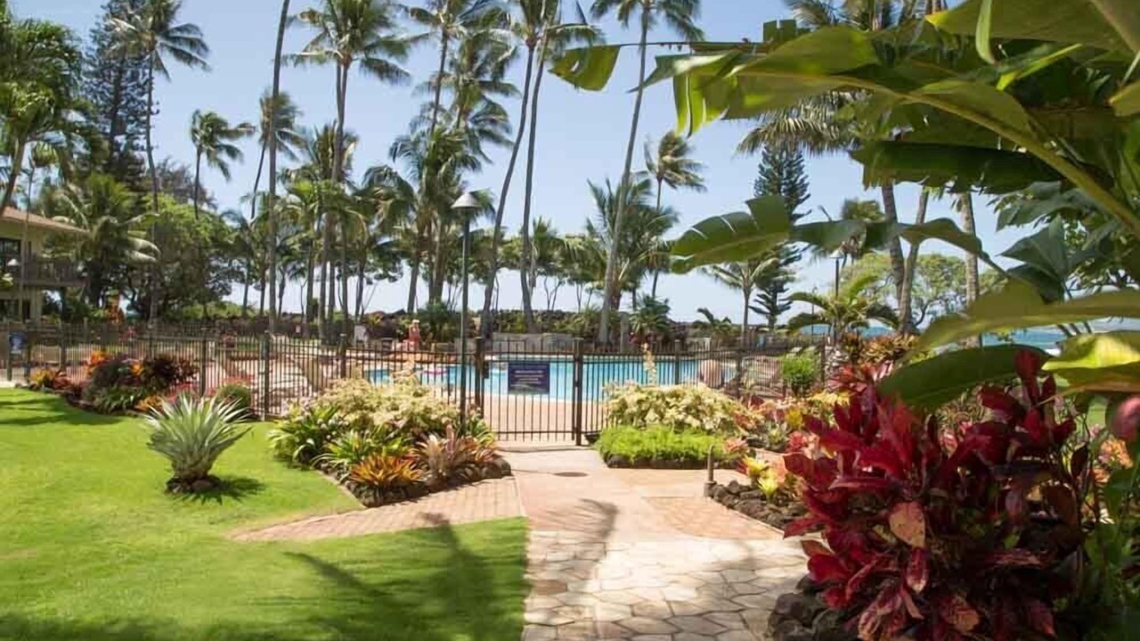 Photo of Outdoor in Wailua