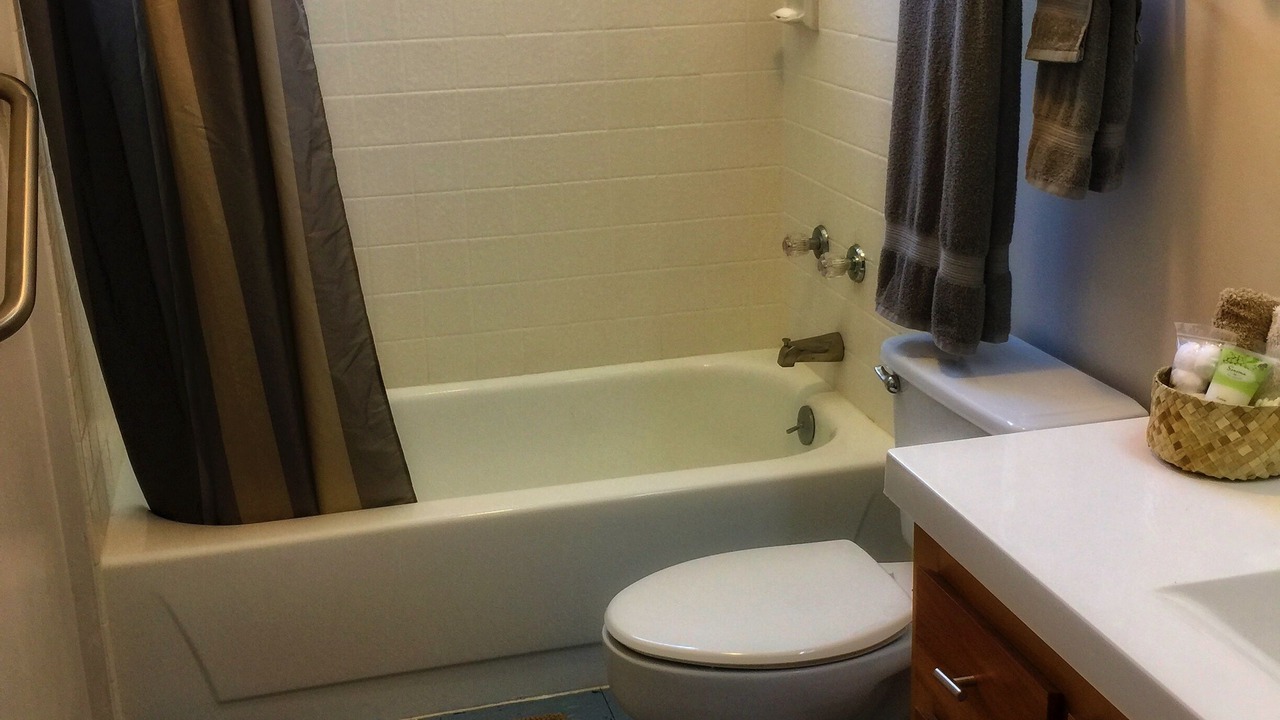 Photo of Bathroom in Kapoho