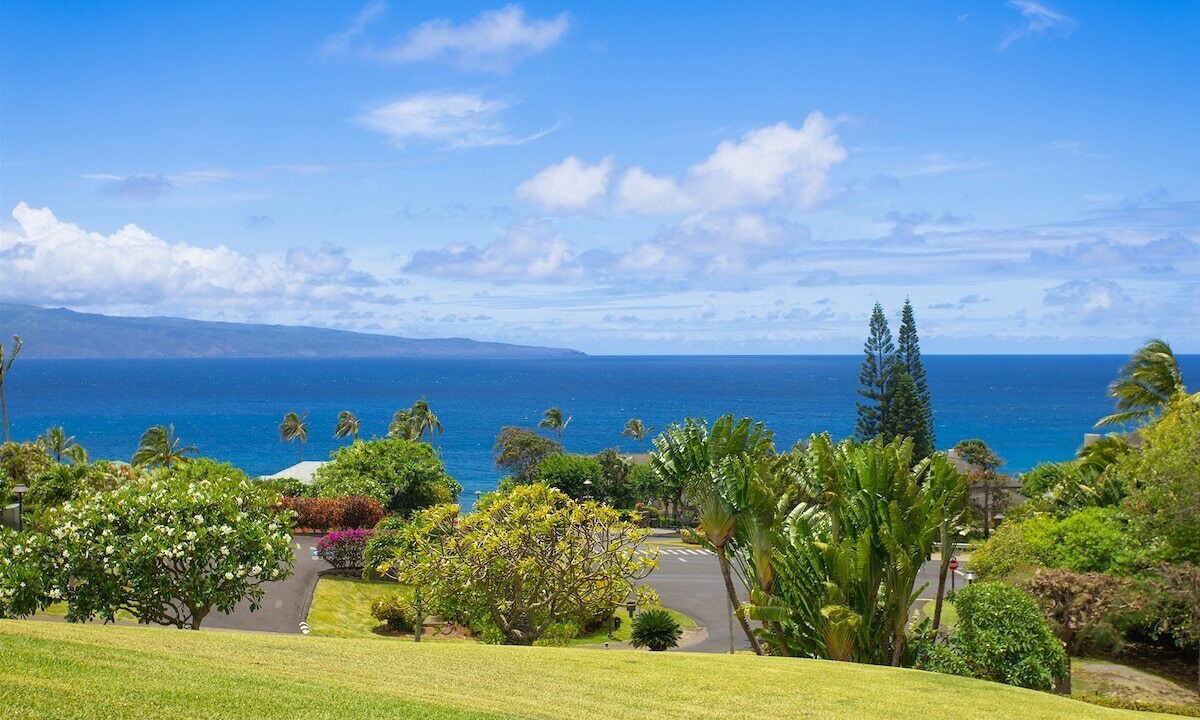 Photo of Others in Kapalua