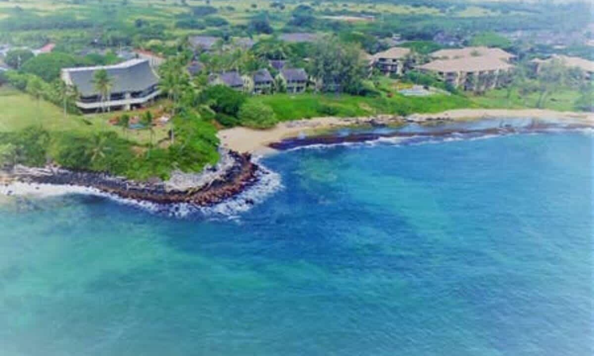 Photo of Others in Wailua
