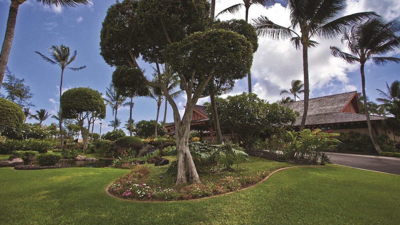 Photo of Outdoor in Wailua