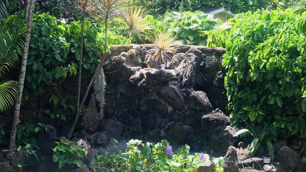 Photo of Outdoor in Pupukea