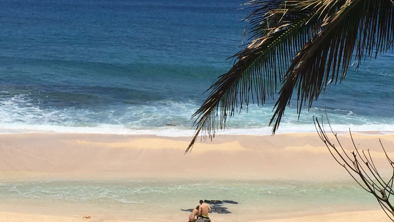 Photo of Others in Pupukea