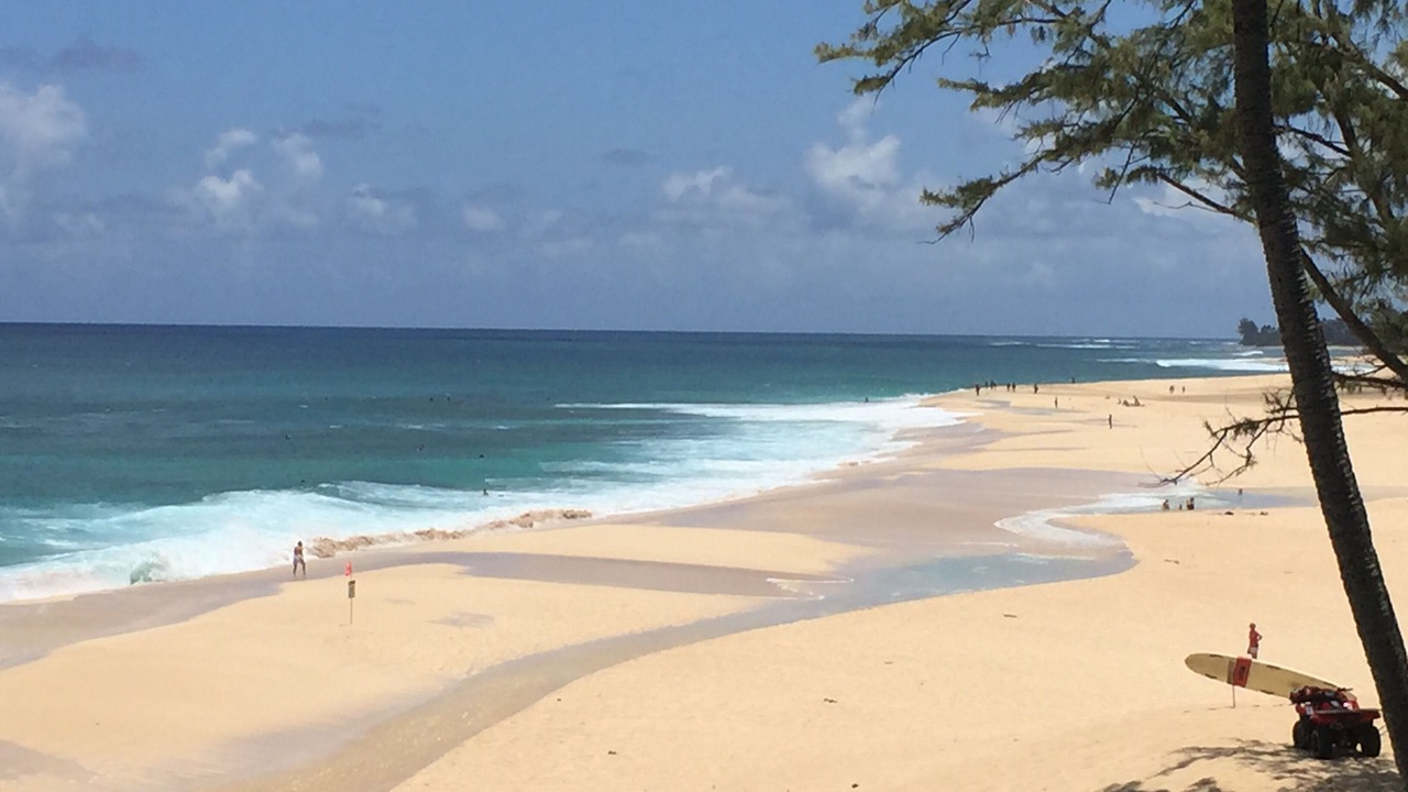 Photo of Others in Pupukea