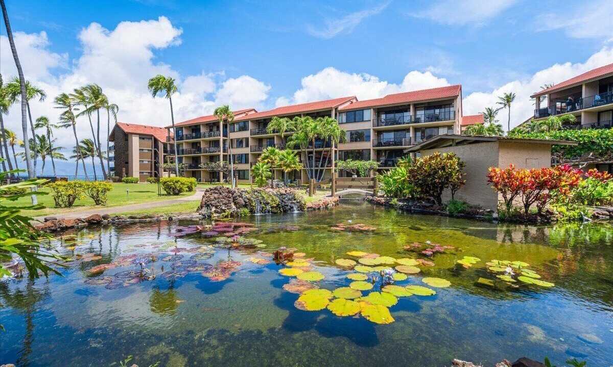 Photo of Outdoor in Honokowai