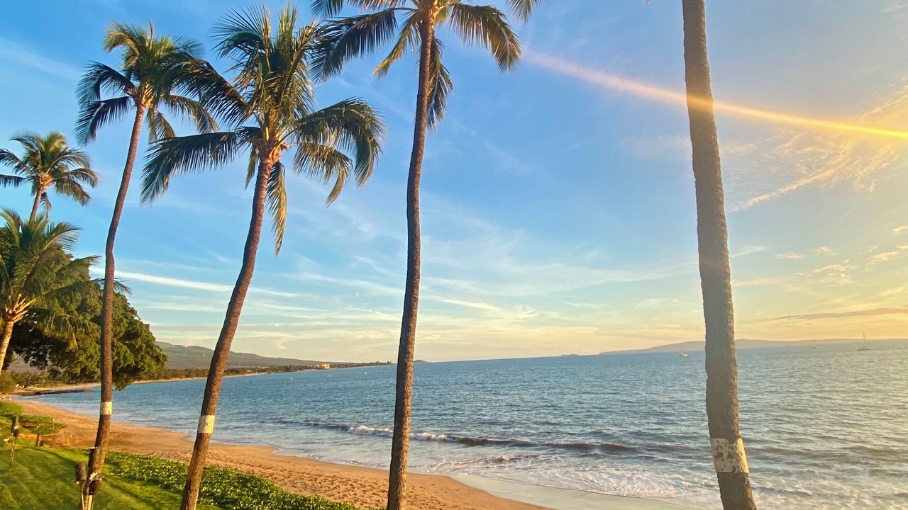 Photo of Others in Kihei