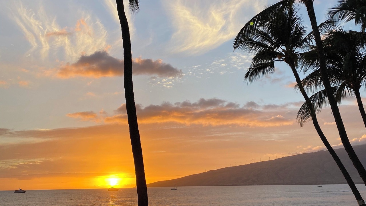 Photo of Others in Kihei