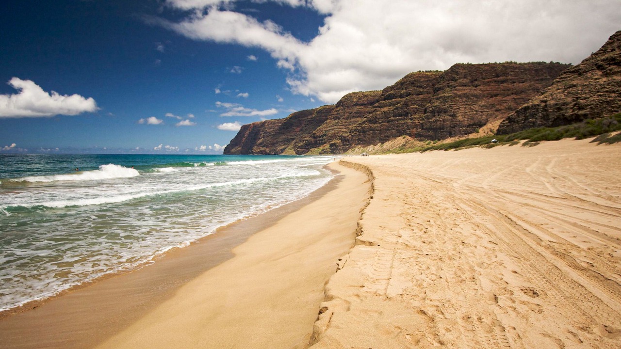 Photo of Others in Poipu