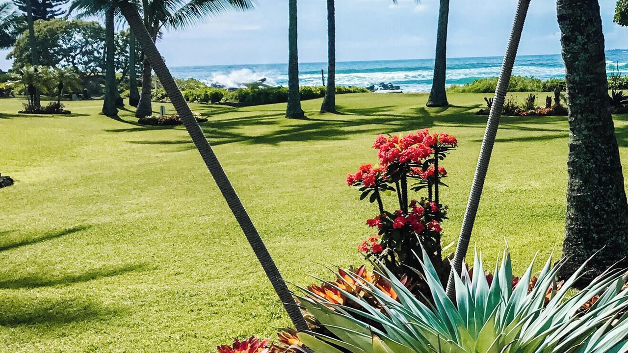 Photo of Others in Wailua