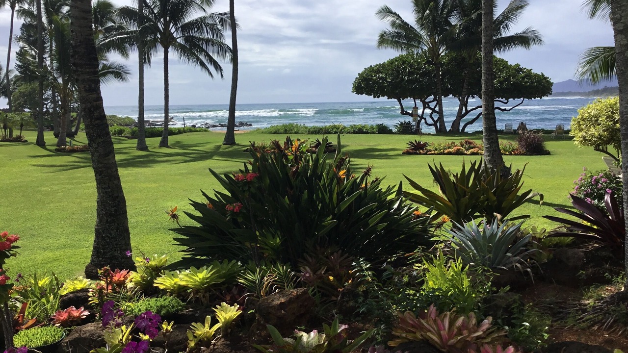 Photo of Others in Wailua