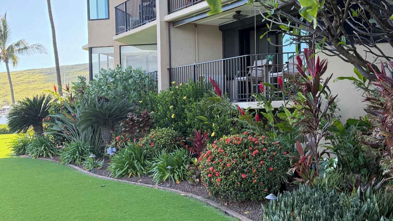 Photo of Others in Maalaea