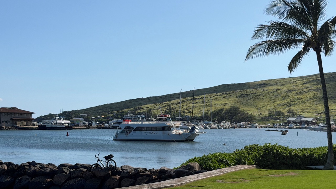 Photo of Others in Maalaea