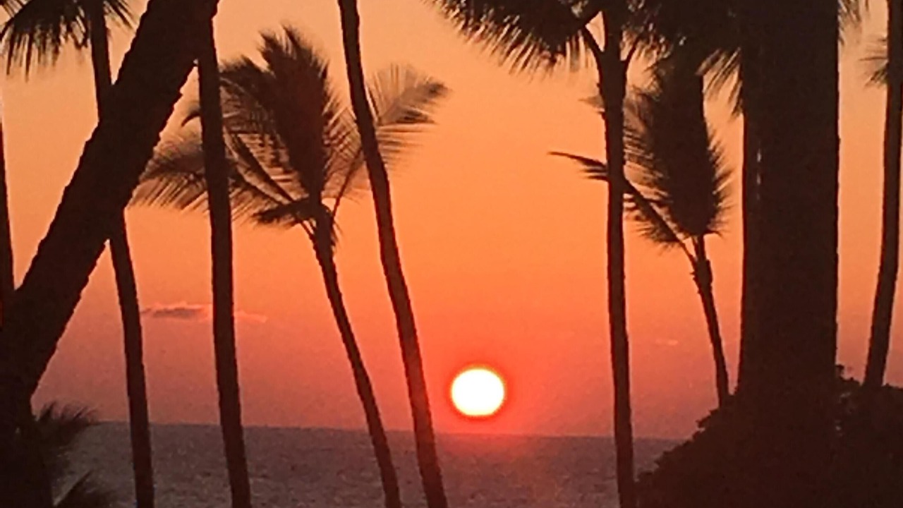 Photo of Others in Kailua-Kona