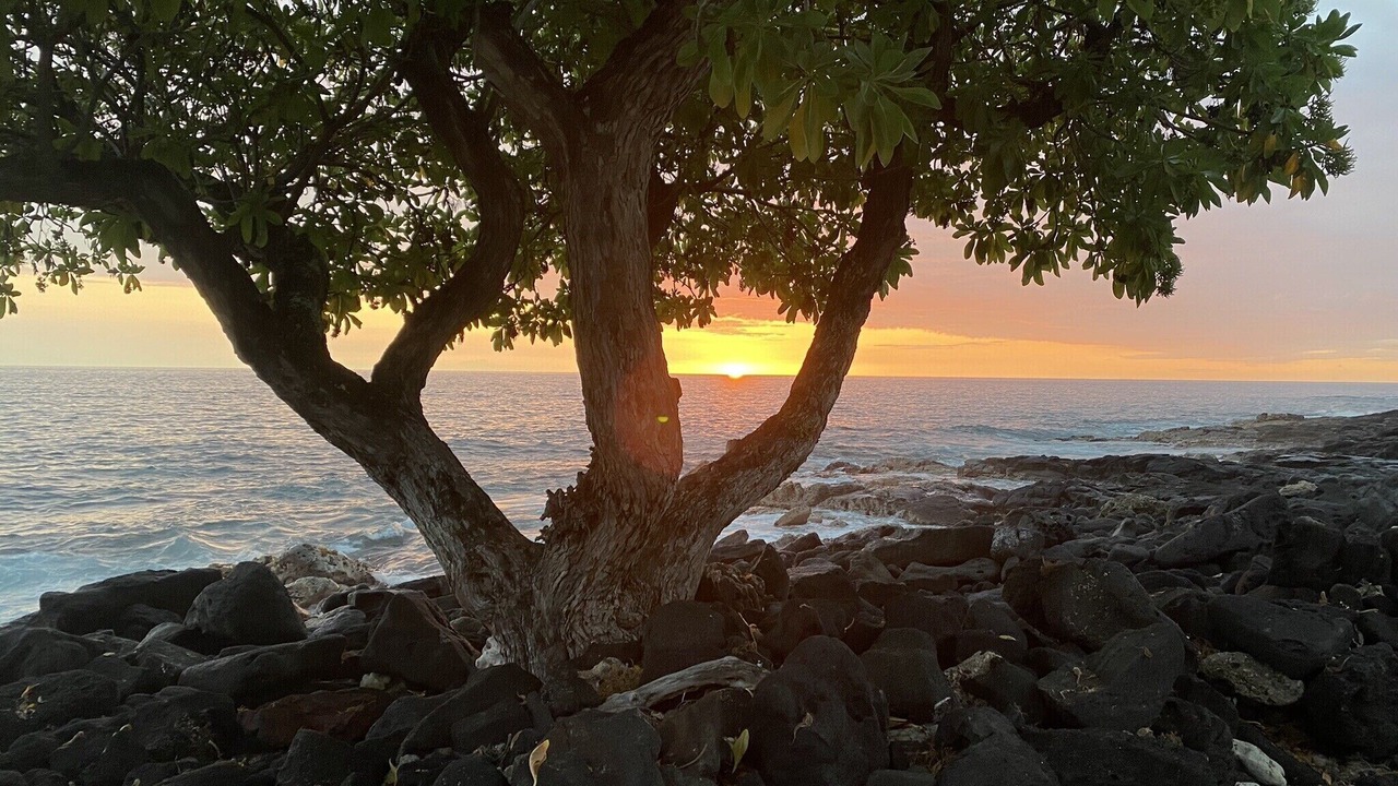 Photo of Others in Kailua-Kona