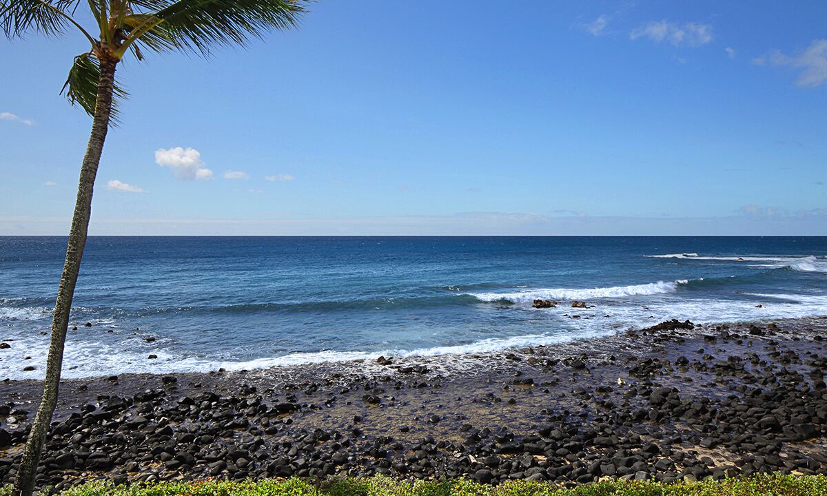 Photo of Others in Poipu