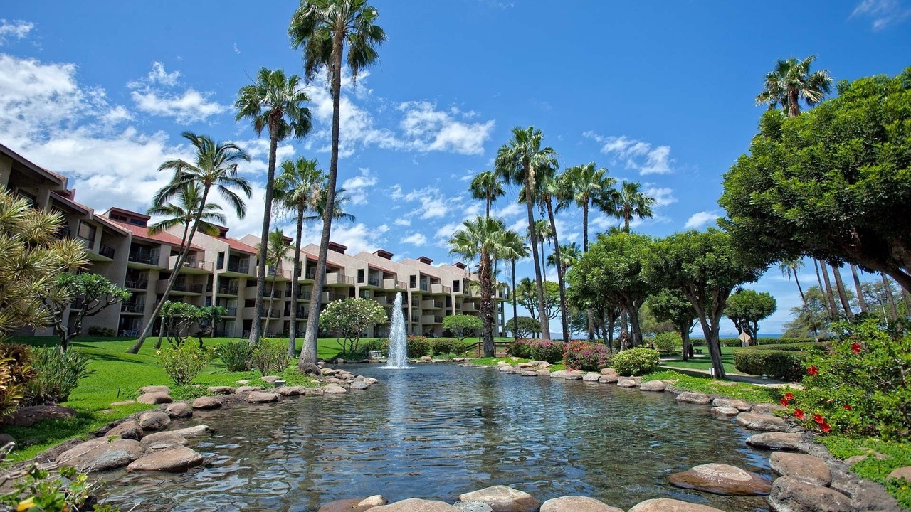 Photo of Outdoor in Kihei