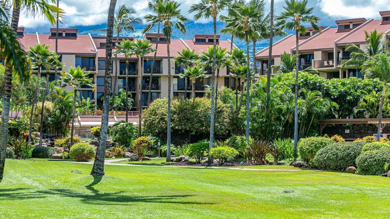 Photo of Outdoor in Kihei