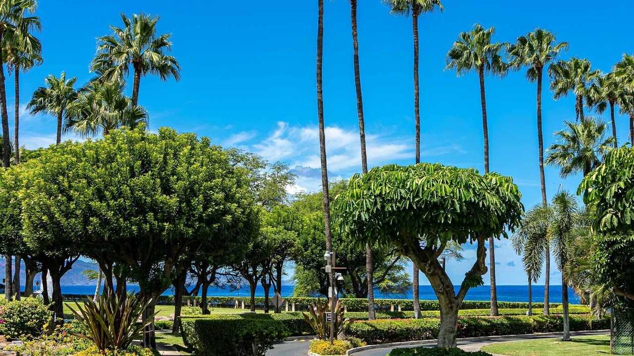 Photo of Others in Kihei